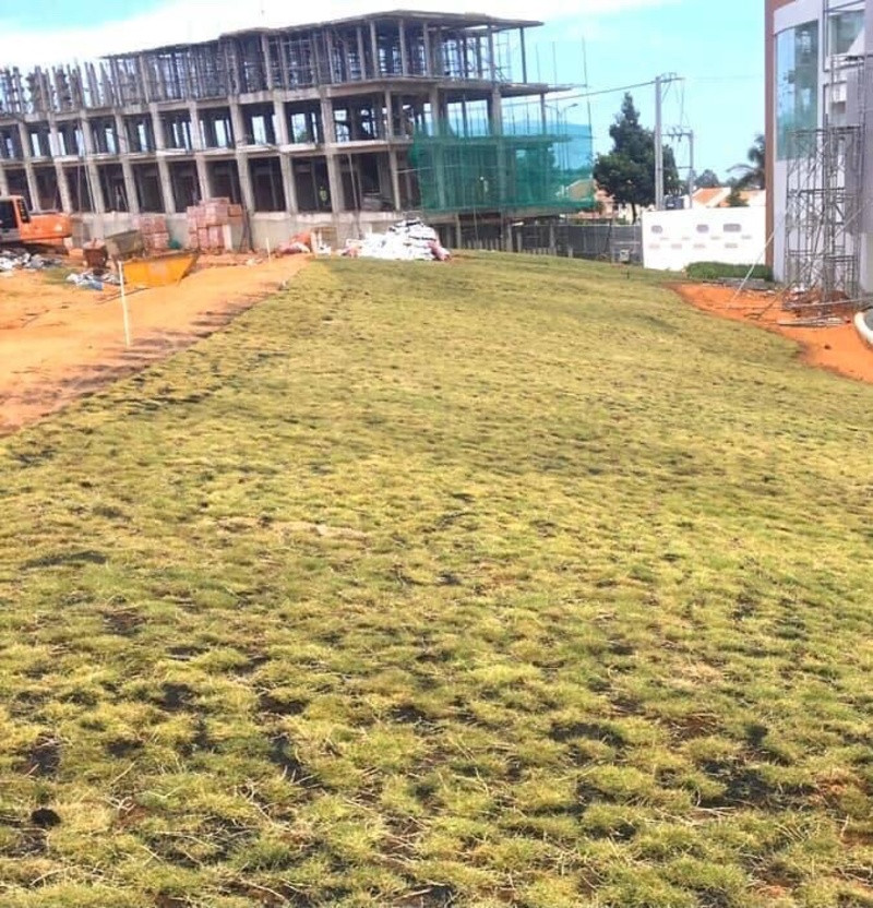 Thi công cảnh quan Avocado Retreat