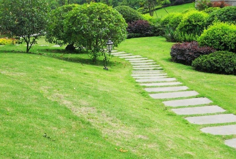 các loại cây trong thiết kế cảnh quan các loại cây trong thiết kế cảnh quan