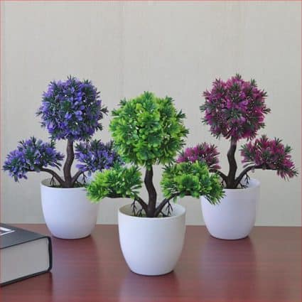 Tiểu cảnh phong thủy Tiểu cảnh phong thủy