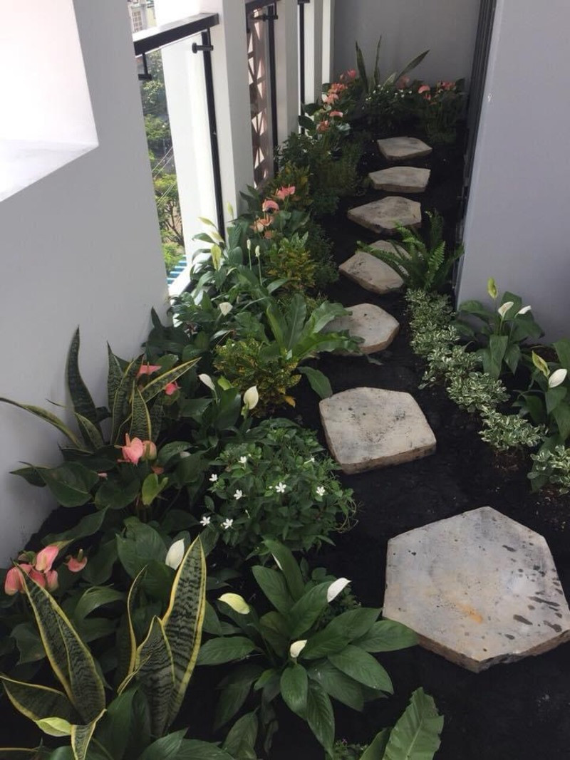 Thi công cảnh quan BT PHAM VAN CHI Q6