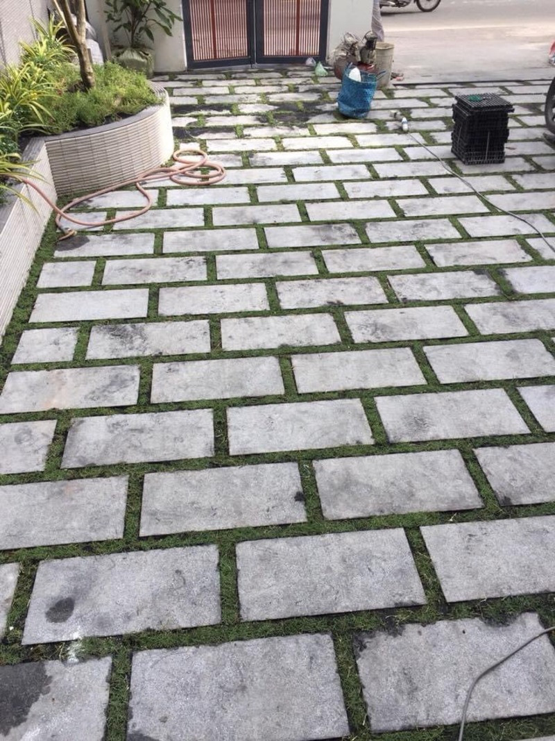 Thi công cảnh quan BT PHAM VAN CHI Q6