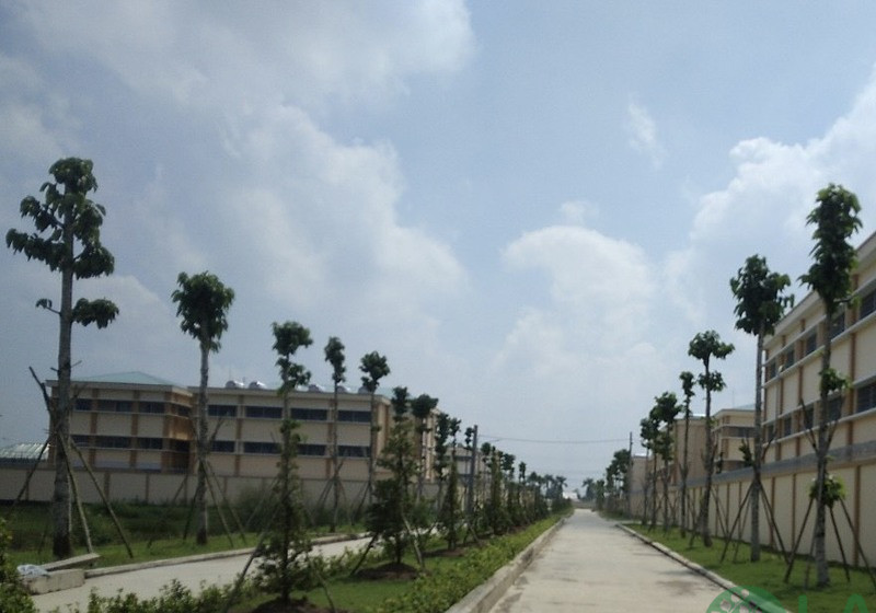 Thi công cảnh quan CS cai nghiện Tiền Giang
