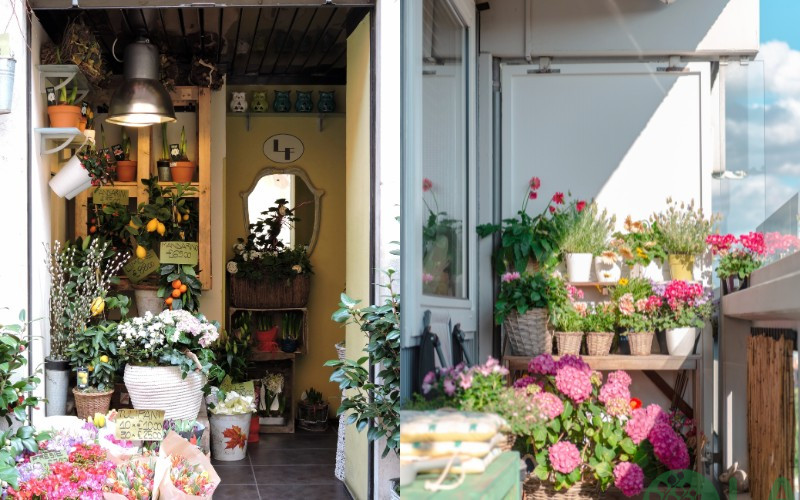 trang trí tiểu cảnh ban công