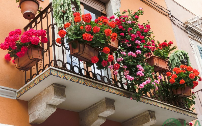 trang trí tiểu cảnh ban công