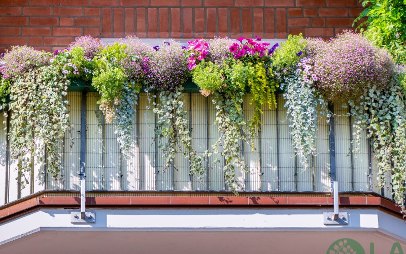 trang trí tiểu cảnh ban công