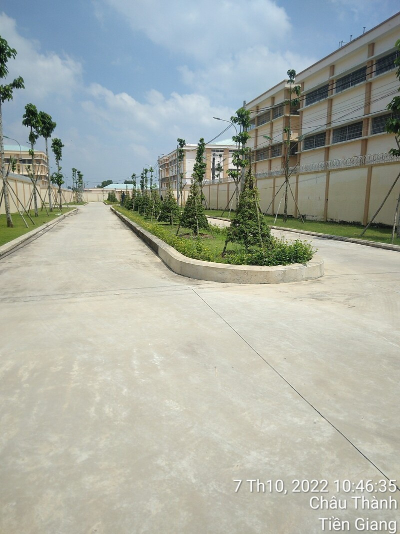 Thi công cảnh quan CS cai nghiện Tiền Giang