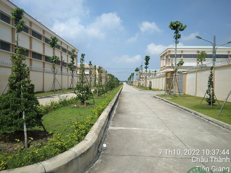 Thi công cảnh quan CS cai nghiện Tiền Giang