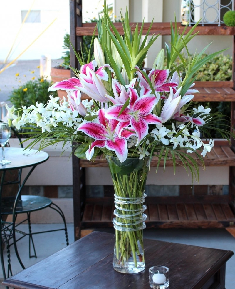 cây cảnh để bàn ngày tết cây cảnh để bàn ngày Tết