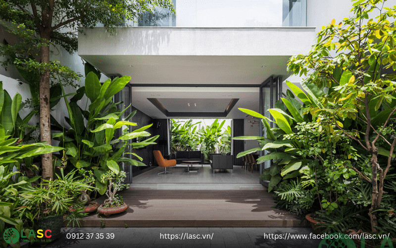 sân sau nhà phố đẹp