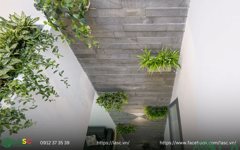 thiết kế sân vườn nhà phố