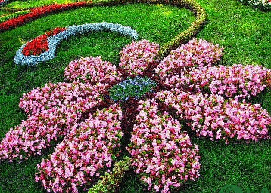 thiết kế vườn hoa trước nhà 