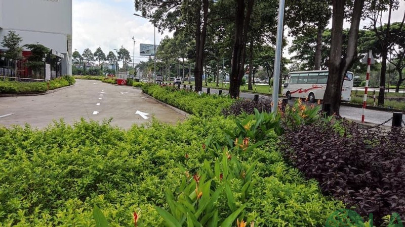 Thi công cảnh quan GO Vũng Tàu