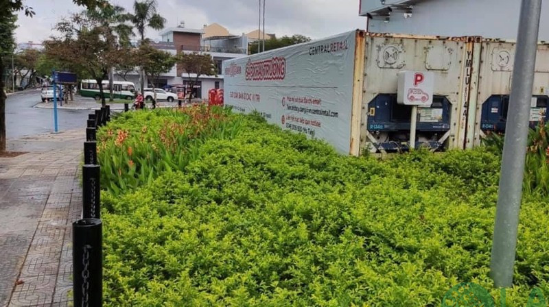 Thi công cảnh quan GO Vũng Tàu