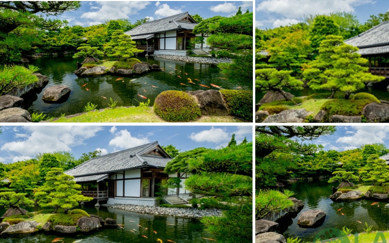 tiểu cảnh đồi cỏ sân vườn