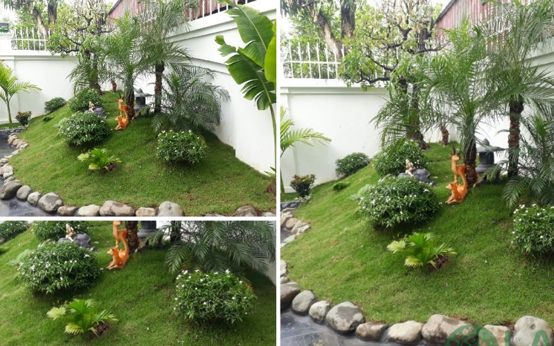 tiểu cảnh đồi cỏ sân vườn