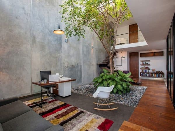 tiểu cảnh là gì tiểu cảnh là gì