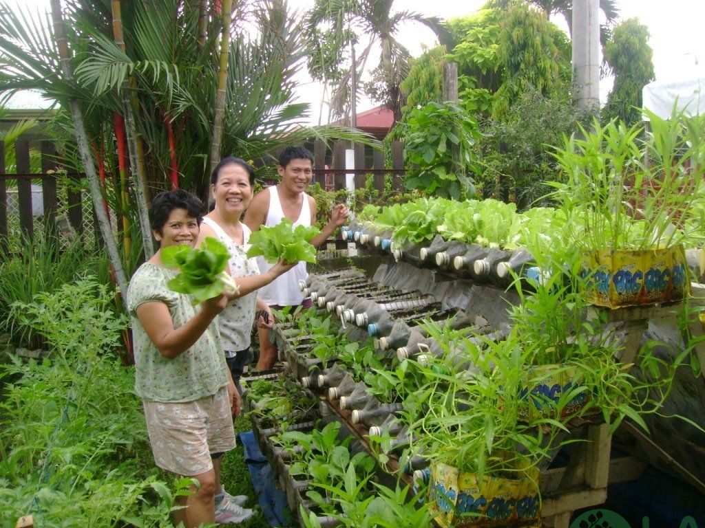 cách làm chậu trồng cây từ chai nhựa