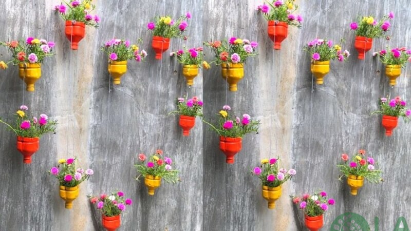 Làm chậu cây từ chai nhựa thành hình trái tim