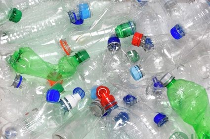 Cách làm chậu trồng cây từ chai nhựa