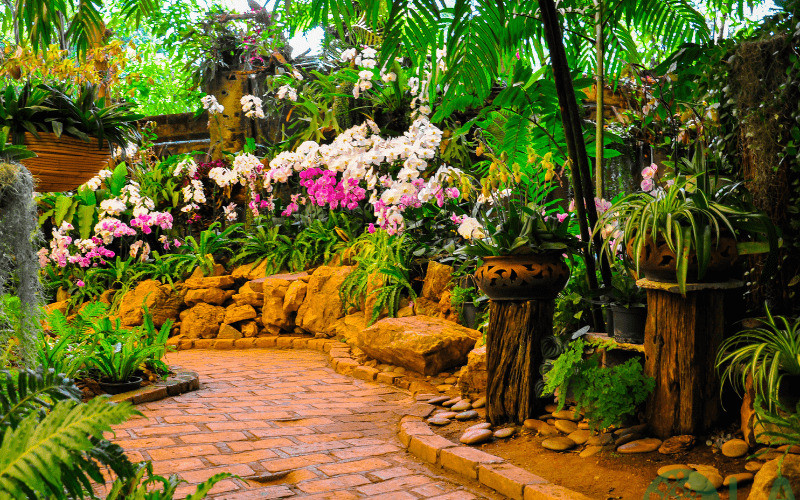 trang trí cảnh quan sân vườn