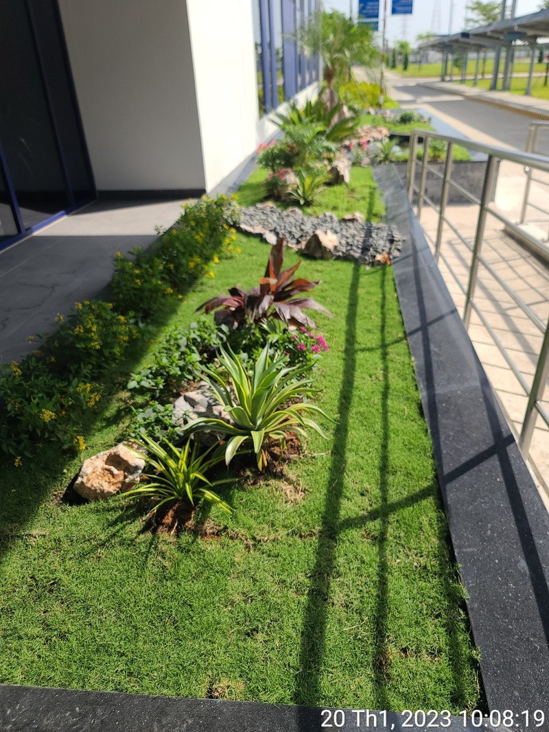 Thi công hồ cá nhà máy Hiệp Phước