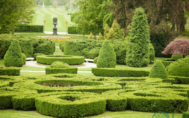 thiết kế cảnh quan sân vườn