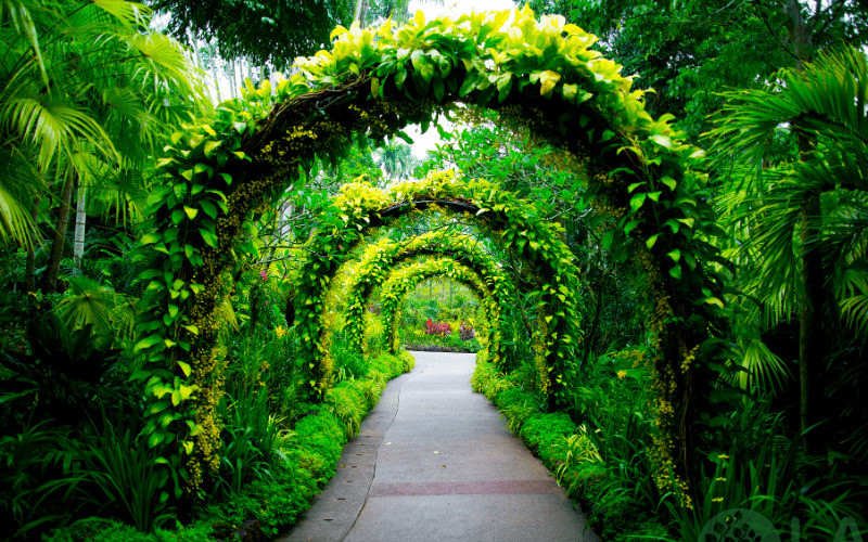 cảnh quan sân vườn biệt thự