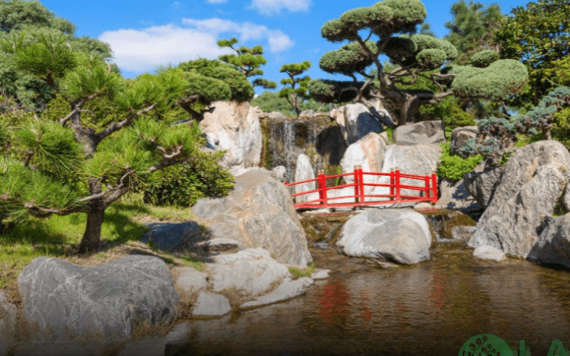 thiết kế cảnh quan nhà vườn