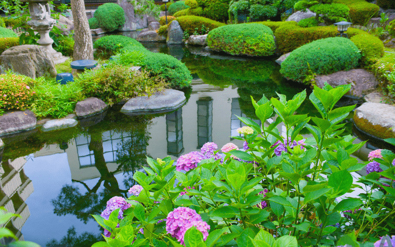 thiết kế cảnh quan nhà vườn