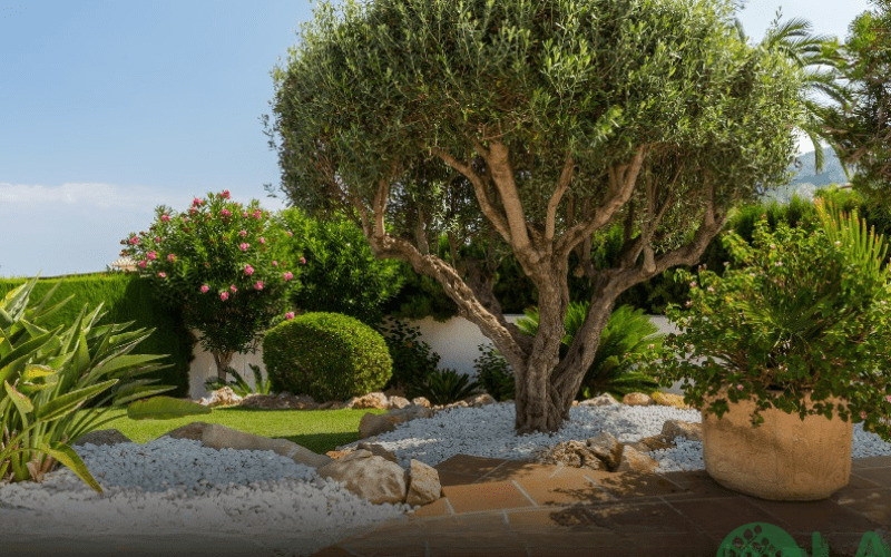 cảnh quan sân vườn đẹp