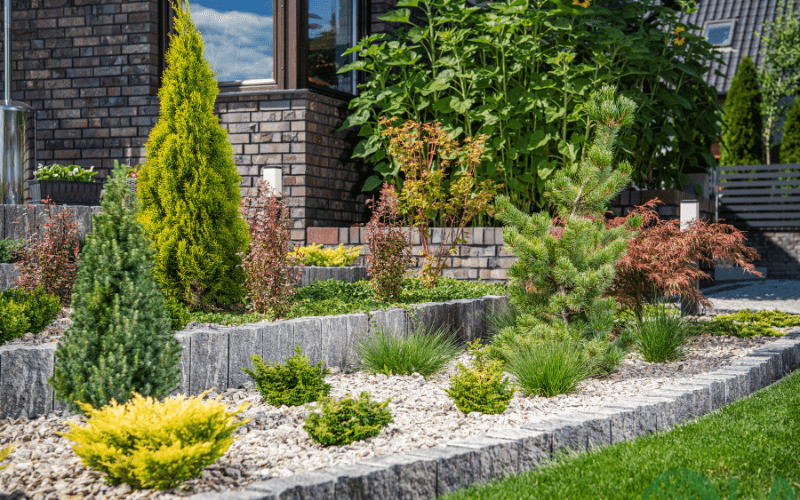 thiết kế cảnh quan sân vườn