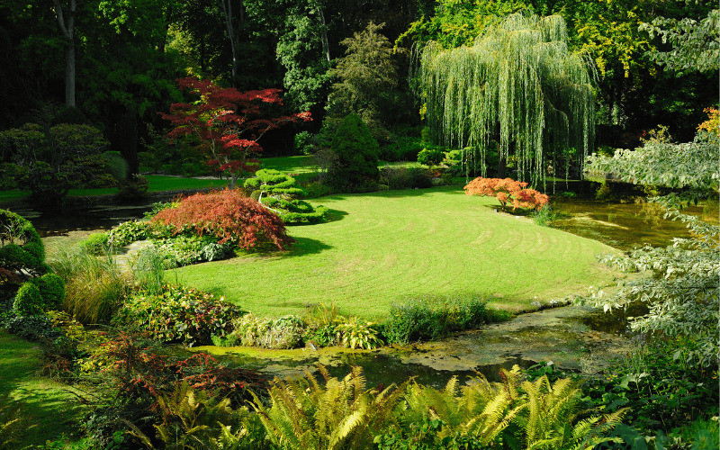 thiết kế cảnh quan sân vườn