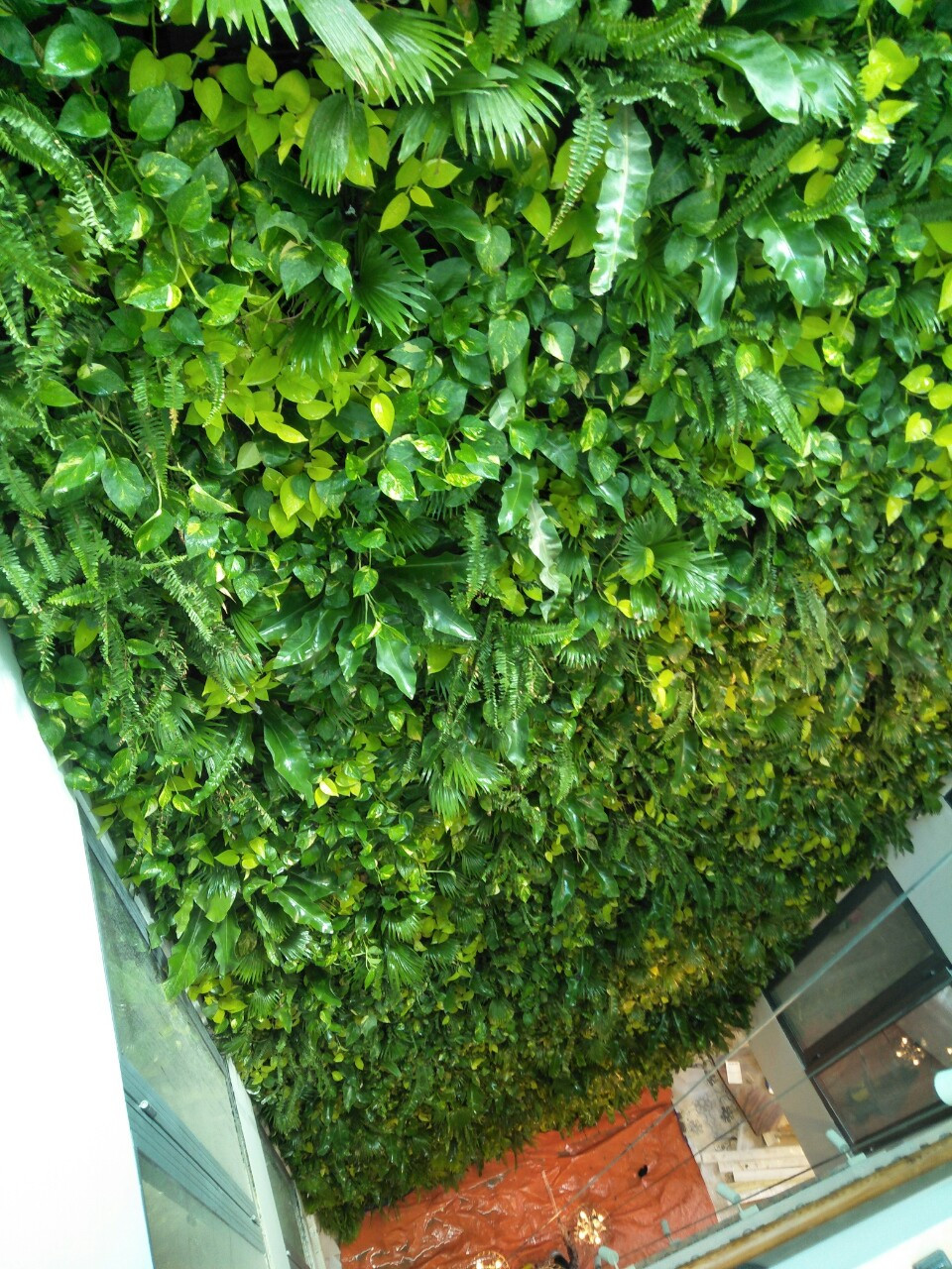 Thi công cảnh quan tường cây 