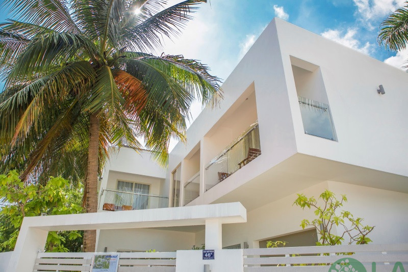 Cây cảnh sân vườn biệt thự