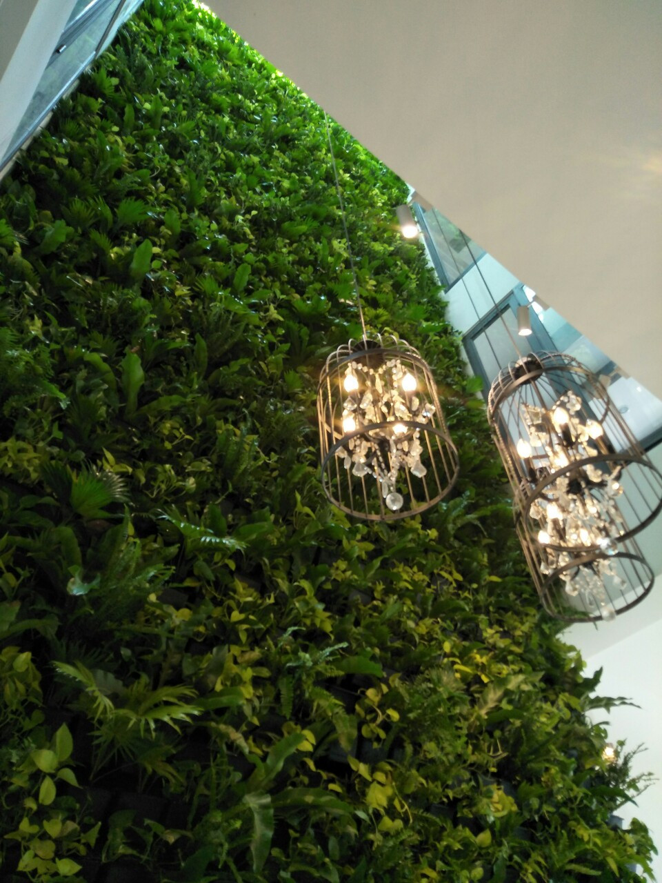 Thiết kế thi công cảnh quan 