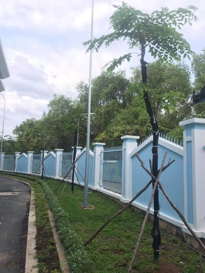 Thi công canh quan trường học 