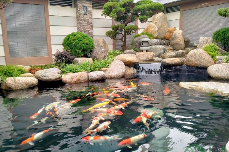 tiểu cảnh sân vườn ngày Tết