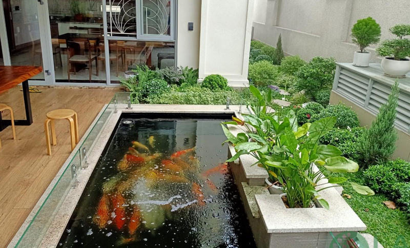 thiết kế sân vườn 2000m2 thiết kế sân vườn 2000m2