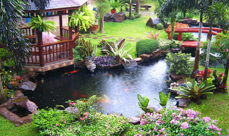 thiết kế sân vườn 2000m2 thiết kế sân vườn 2000m2