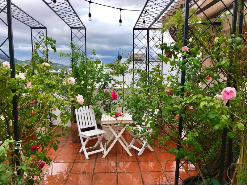 thiết kế sân vườn trên sân thượng