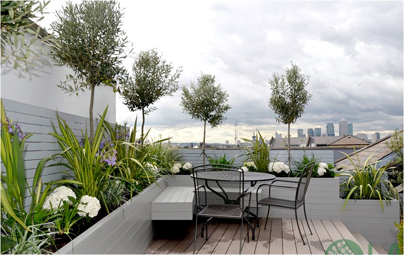 thiết kế sân vườn trên sân thượng
