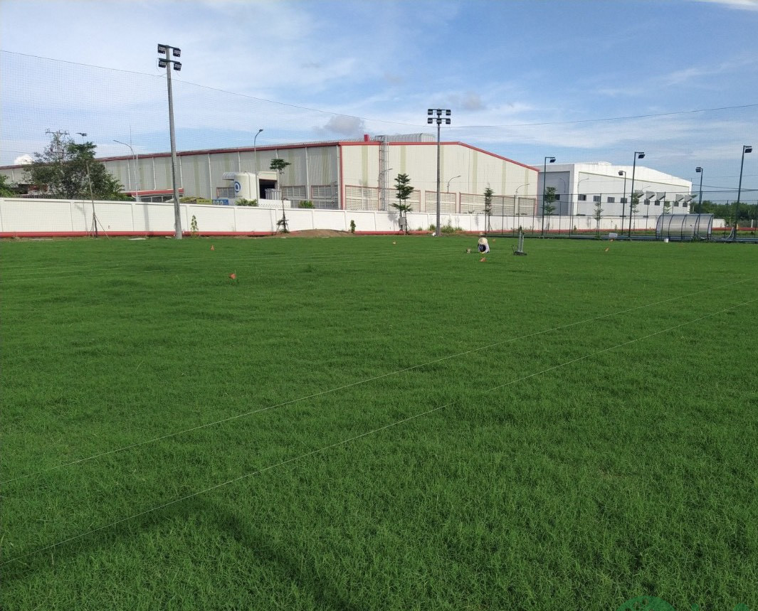 Thi công sân bóng đá