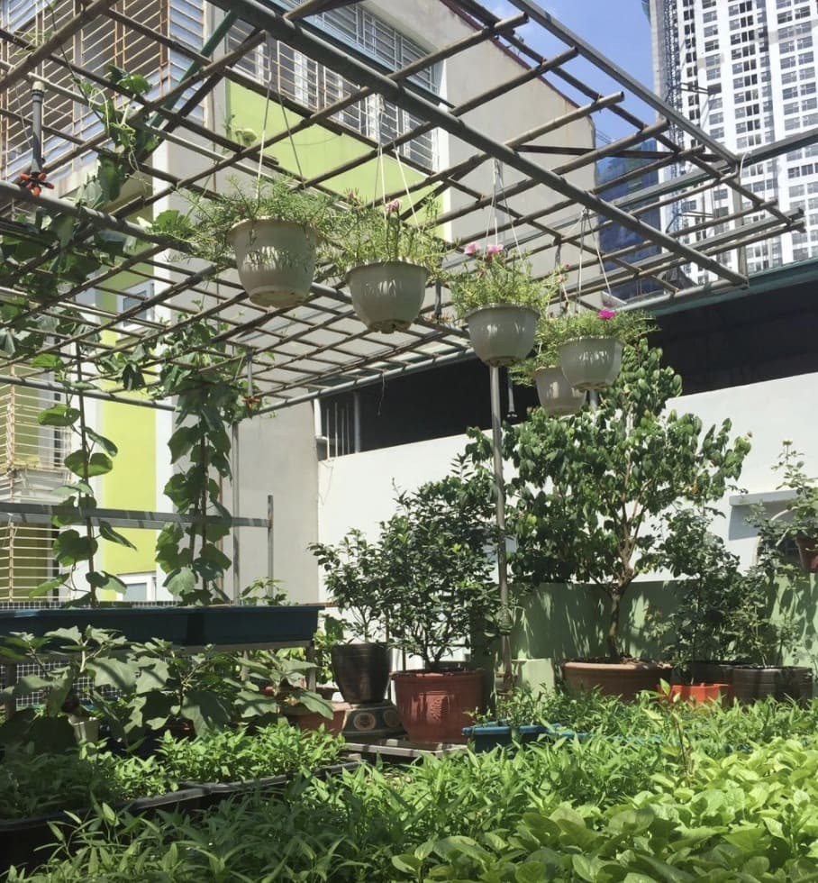 thiết kế sân thượng đẹp cho nhà ống thiết kế sân thượng đẹp cho nhà ống