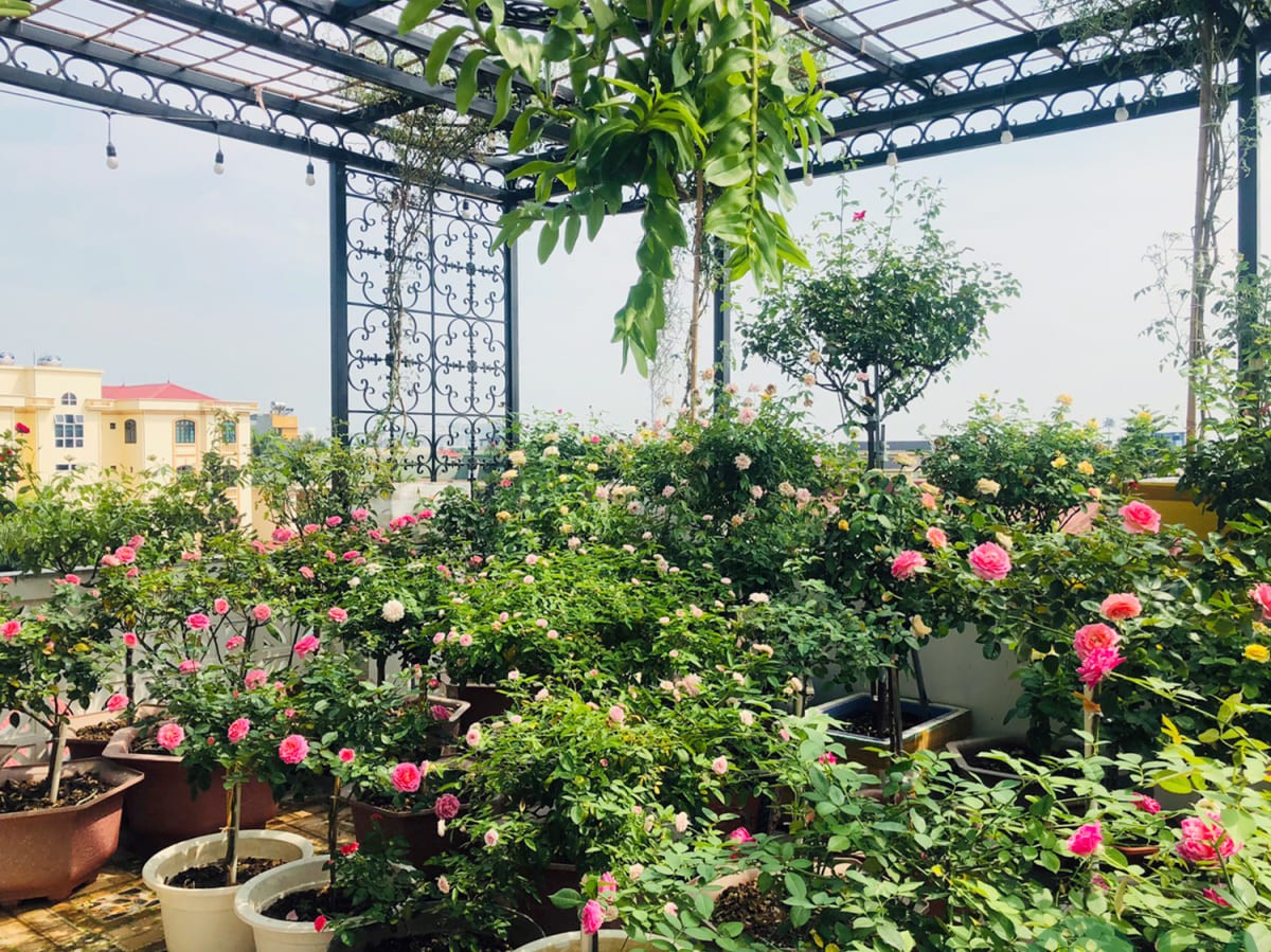 thiết kế sân thượng nhỏ đẹp thiết kế sân thượng nhỏ đẹp