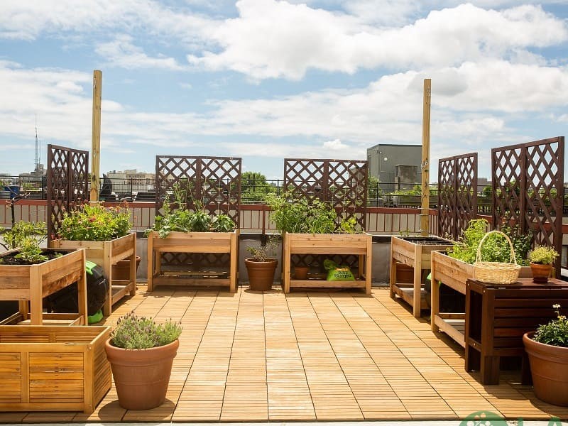 thiết kế sân thượng đẹp cho nhà ống thiết kế sân thượng đẹp cho nhà ống