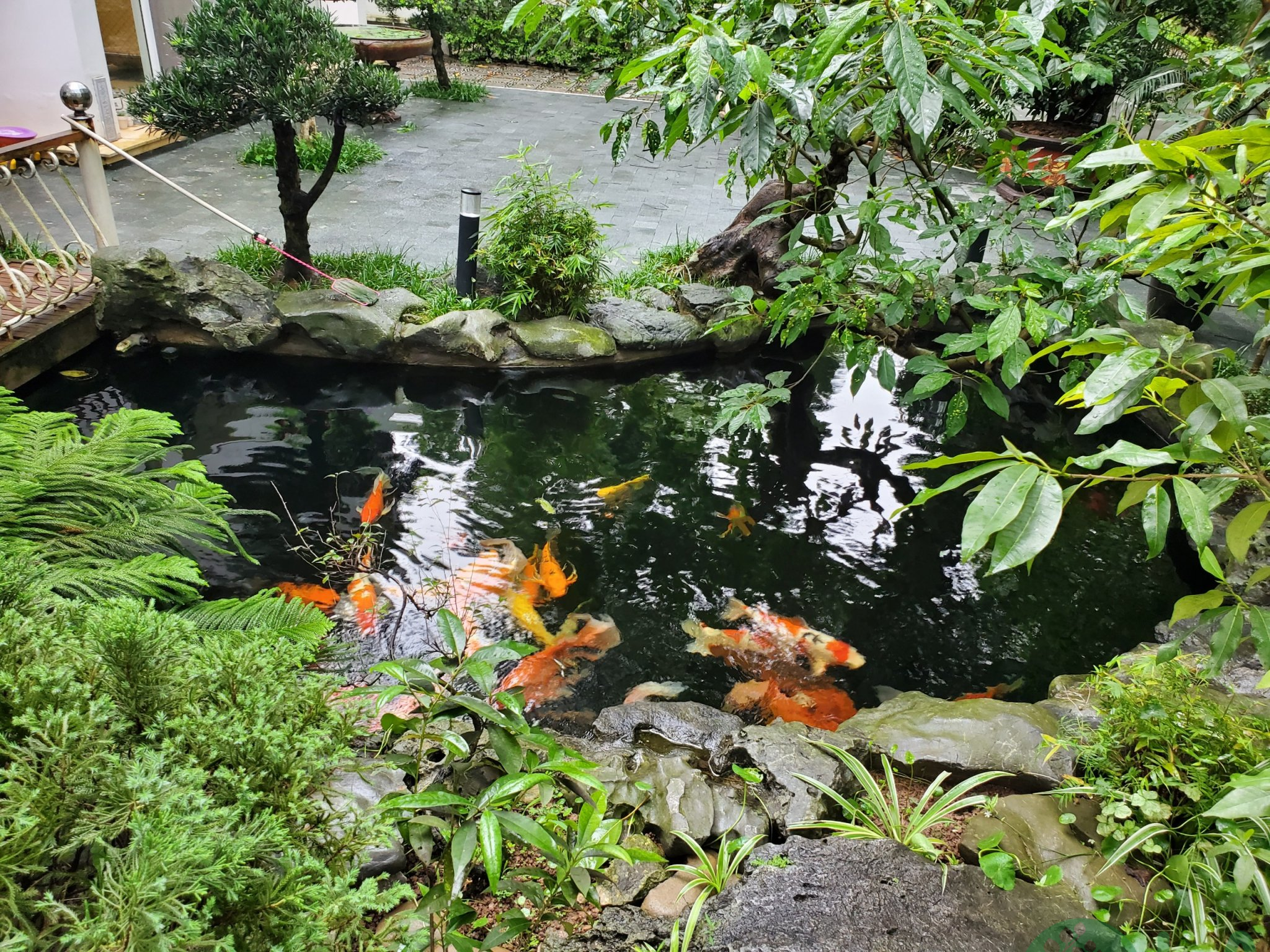 Thiết kế sân vườn 30m2