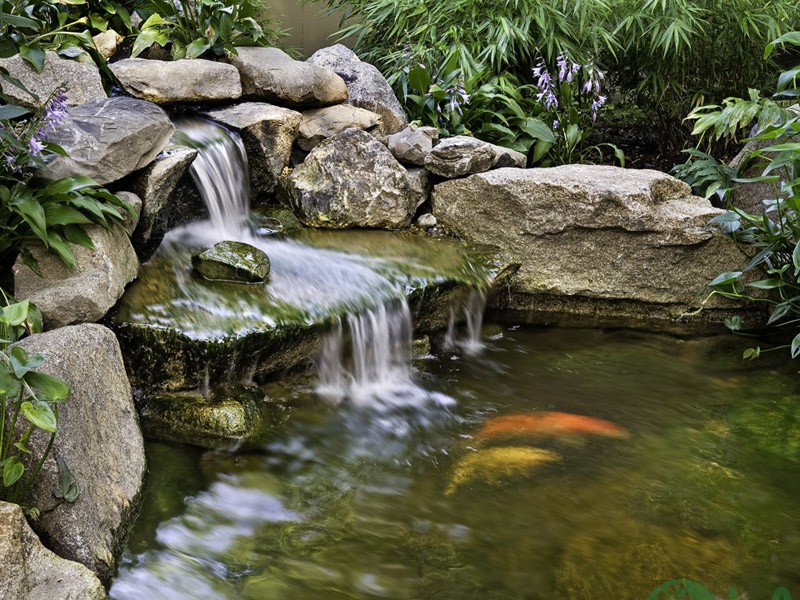 Thiết kế sân vườn 30m2