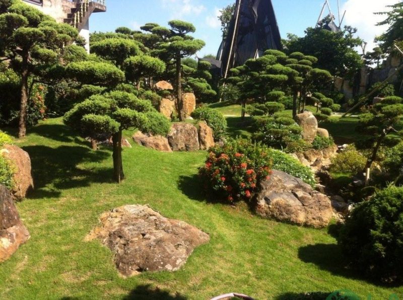 thiết kế nhà 100m2 có sân vườn