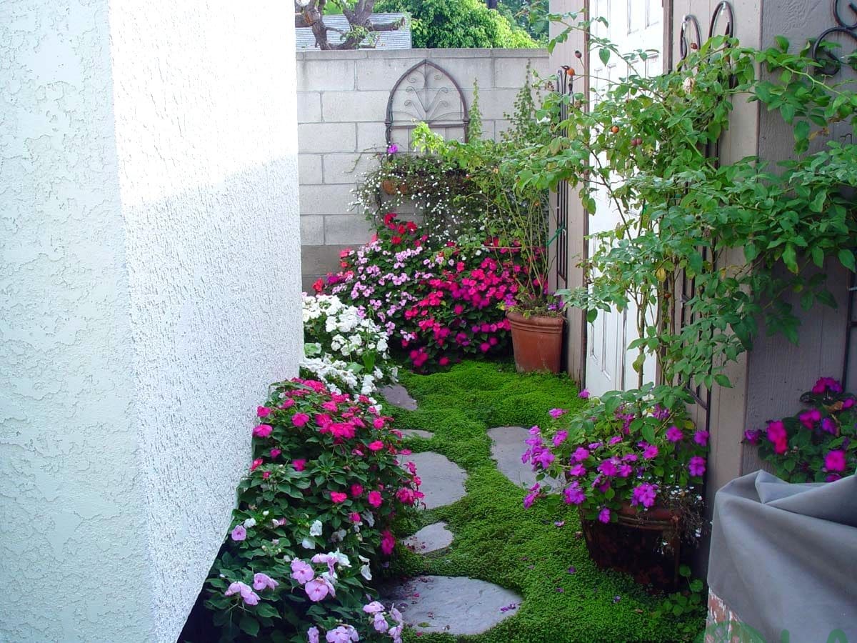 thiết kế sân vườn 100m2