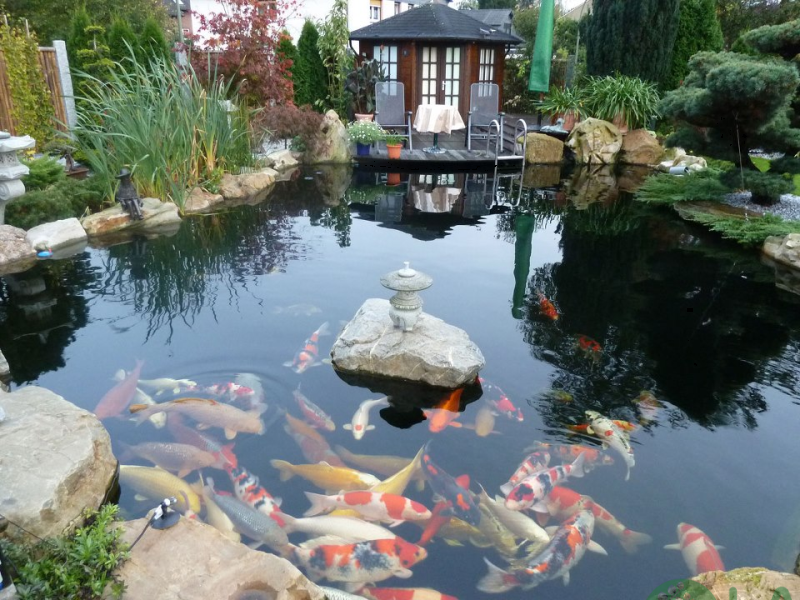 Thiết kế sân vườn 200m2